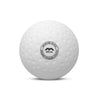 Evolution Dimple Match Ball 2024
